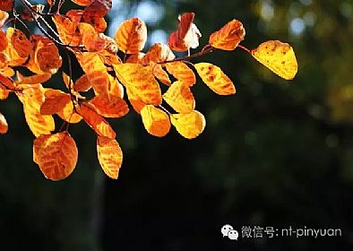 【大事記】輝煌八周年-第三季度員工表彰大會！